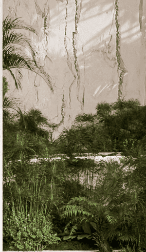 jungle